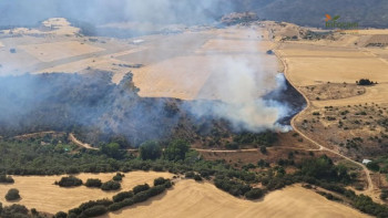 Declarado un incendio forestal en Valfermoso de Tajuña