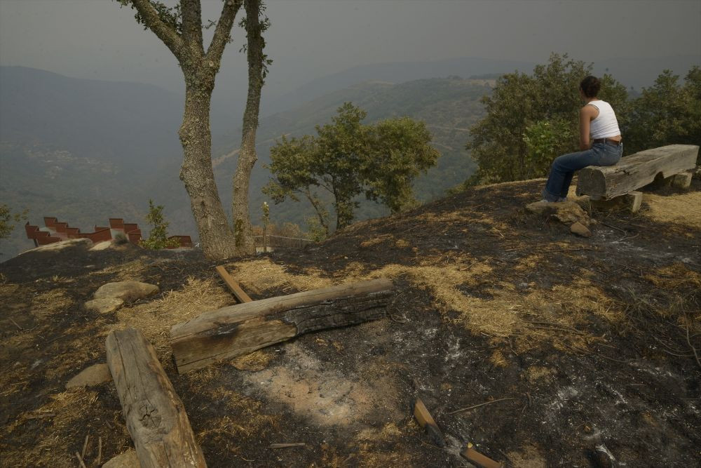 Varios vecinos observan sus fincas tras el paso del fuego, a 13 de agosto de 2025, en Somoza, Pobra de Trives, Ourense, Galicia (España). Imagen: Rosa Veiga / Europa Press
