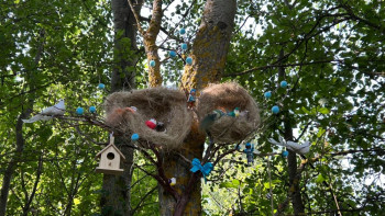 Setiles disfruta de un ‘Bosque de las hadas’ gracias a la iniciativa de dos vecinos 