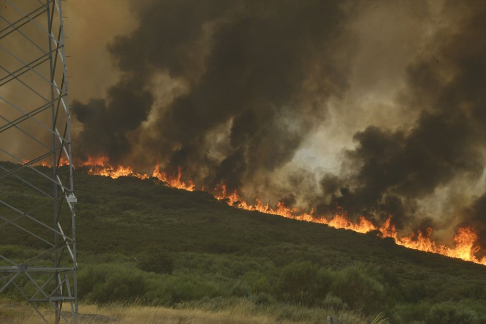 Incendio forestal se acerca a Vilela, a 15 de agosto de 2025, en Vilela, Cualedro, Monterrei, Ourense, Galicia (España). Imagen: Rosa Veiga - Europa Press