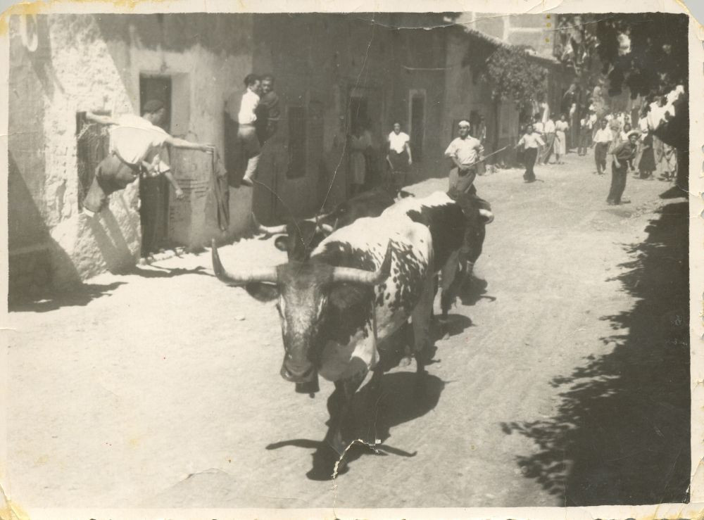 Encierro de toros en Yunquera de Henares (Guadalajara). Años 40. Fondo Los Legados de la Tierra. Imagen: Archivo de la Imagen de Castilla-La Mancha.