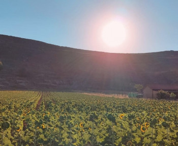 EL TIEMPO: Jornada típica veraniega en Guadalajara con posibles chubascos en zonas de montaña, por la tarde