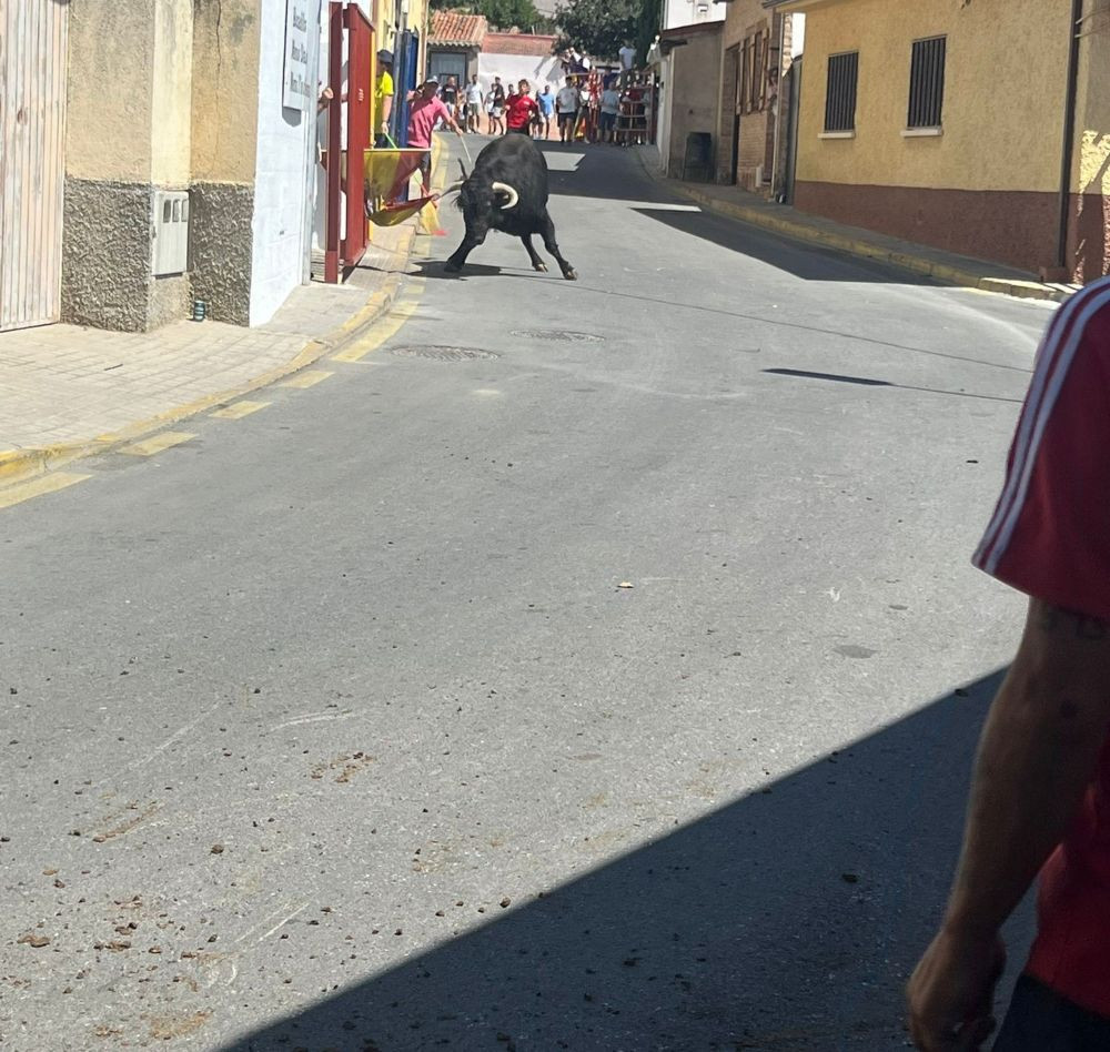 Imagen de archivo de los encierros de El Casar. Imagen: Ayuntamiento de El Casar