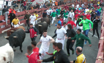 EDITORIAL. Va de cuernos