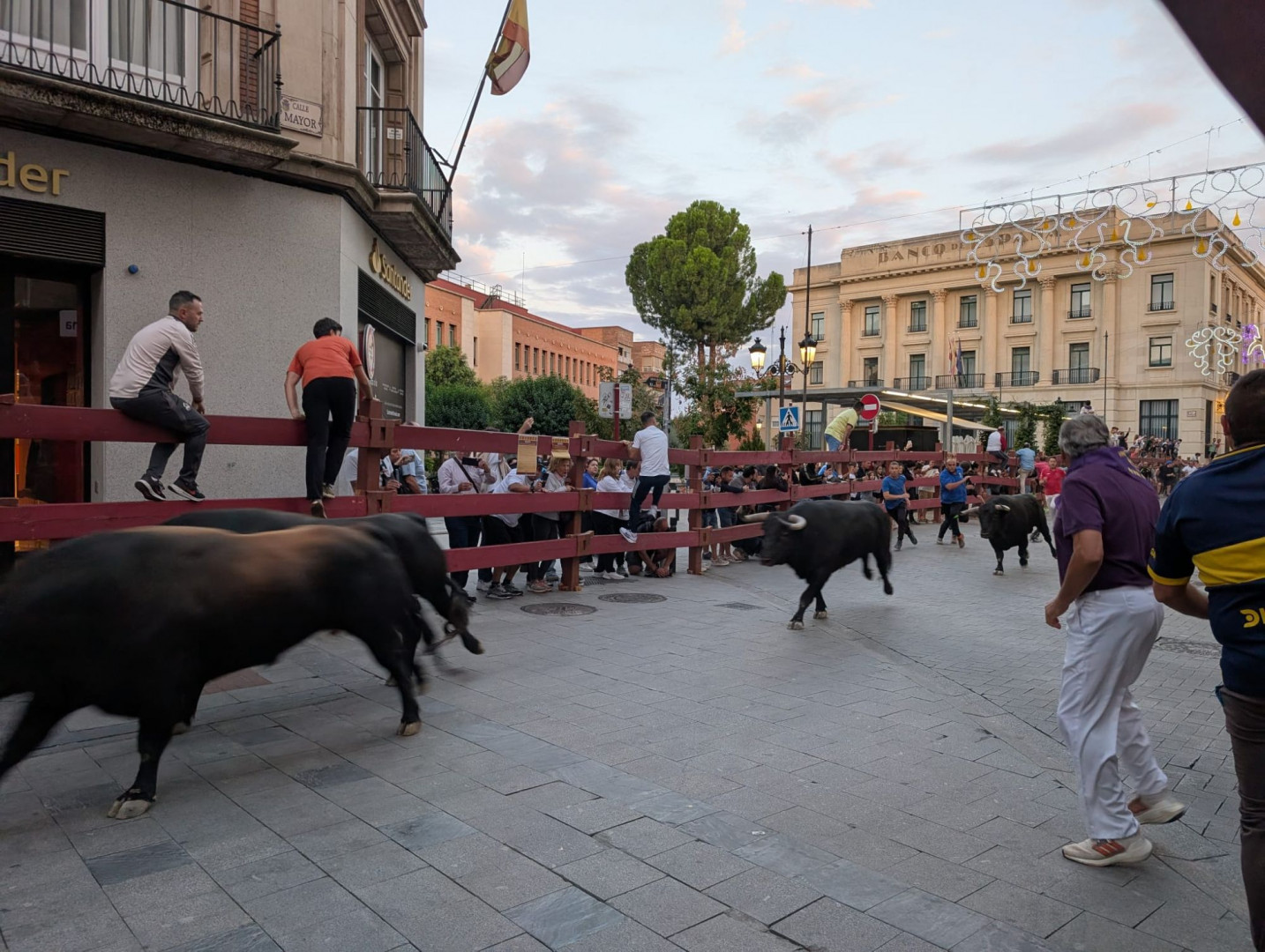 Imagen: Carmen Ibáñez/El Decano de Guadalajara. 