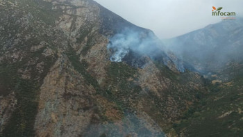 Continúan las labores de extinción en el incendio de El Cardoso de la Sierra