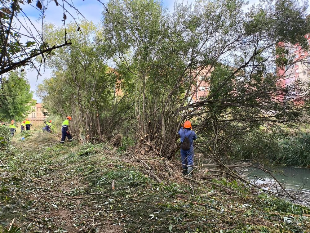 Trabajos de limpieza en Molina de Aragón. Imagen: CHT