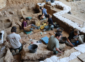 Los caballos más antiguos del linaje ibérico salen a la luz en las excavaciones de La Malia en Tamajón