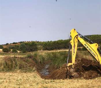 Fuentenovilla recupera 70 hectáreas de cultivo con la limpieza de cauces
