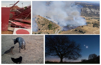 Las diez noticias más leídas en El Decano en el mes de agosto