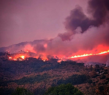 El incendio del Pico del Lobo, con 3.000 hectáreas calcinadas, llega a Segovia
