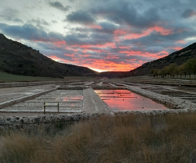 El Ayuntamiento de Saelices de la Sal y Aache Ediciones, premiados con la Placa al Mérito Cultural