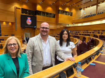El PP impulsa en el Senado una moción para desbloquear las inversiones eléctricas "que frenan el desarrollo industrial de Guadalajara"