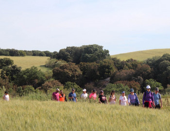 Cabanillas manda una encuesta para organizar nuevos paseos saludables