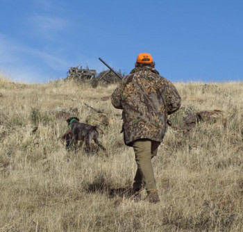 Hoy se abre la temporada caza mayor y menor en Castilla-La Mancha