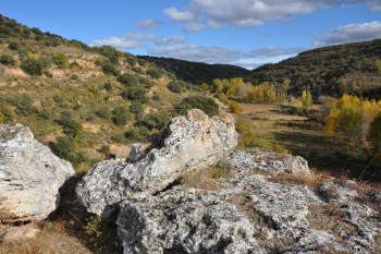 Abatido el toro bravo que escapó del encierro de Romancos