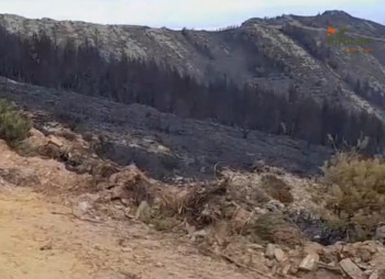 El incendio de Peñalba de la Sierra queda extinguido tras 22 días 