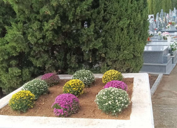 Cabanillas "pone a punto" el Cementerio Municipal para la Festividad de Todos los Santos