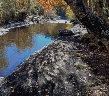 Ecologistas en Acción denuncian un problema grave de contaminación en el río Jarama por el arrastre de cenizas del incendio del Pico del Lobo