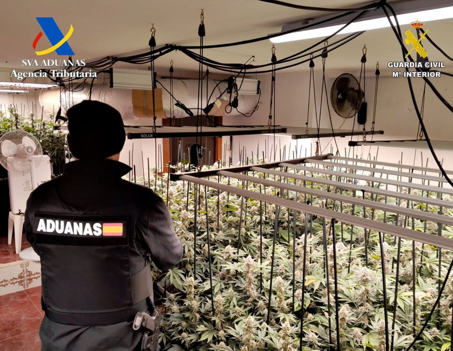 Imagen: Guardia Civil de Guadalajara X