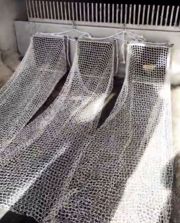 Imagen: Ayuntamiento de Azuqueca