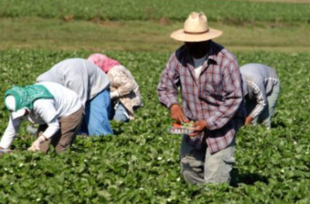 El sector agroalimentario reclama visibilidad por su papel fundamental en el crecimiento 