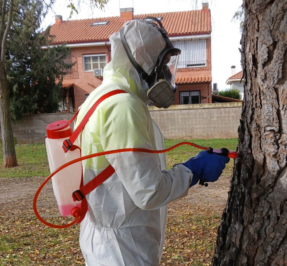 Imagen: Ayuntamiento Cabanillas del Campo