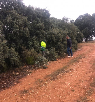 Nueva campaña de aprovechamiento de leña en Fuentenovilla