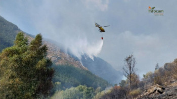 El Gobierno declara afectadas por emergencias de protección civil las zonas de los incendios forestales de El Cardoso de la Sierra, Loranca de Tajuña y Luzaga