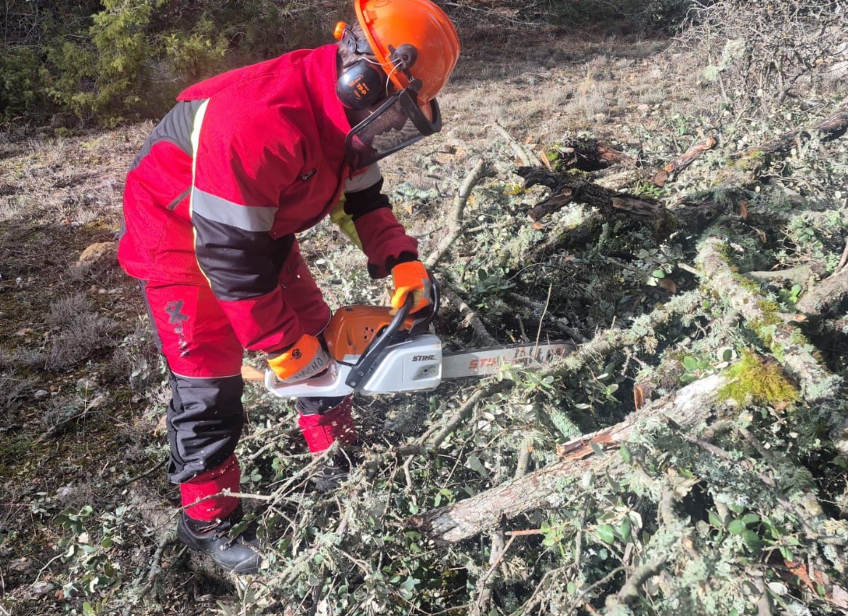 Imagen: Ayuntamiento El Recuenco