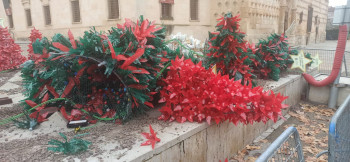 Vandalizado el bosque de árboles navideños elaborado por los escolares de Guadalajara