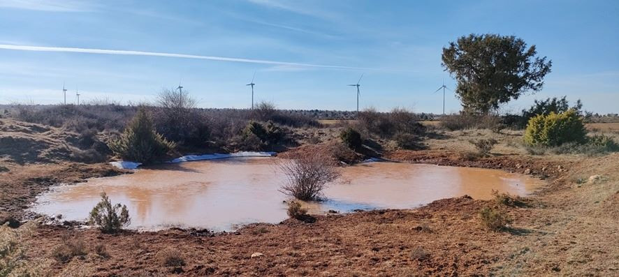 Imágenes: Ecologistas en Acción