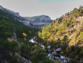 La ADR Molina de Aragón–Alto Tajo publica convocatoria de ayudas LEADER al emprendimiento para impulsar nuevos proyectos rurales