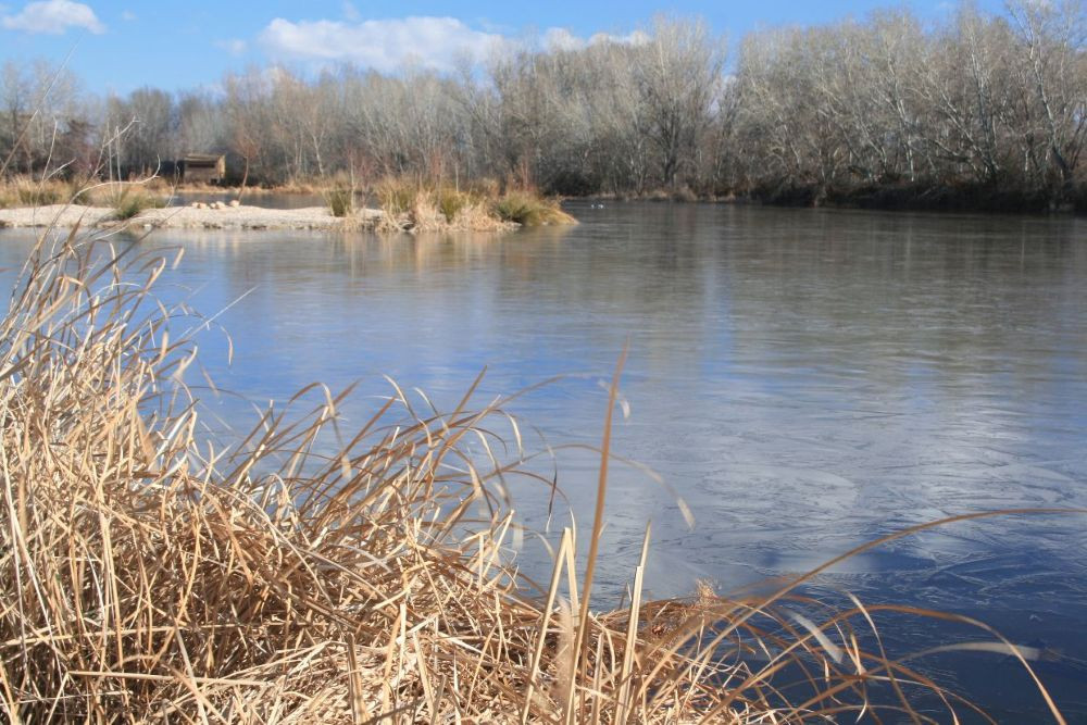 Imagen. Ecologistas en Acción