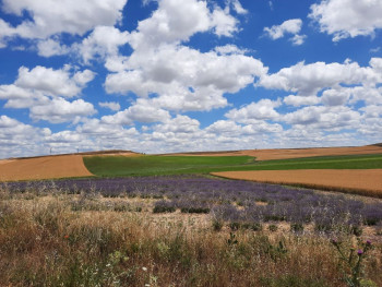 Font Vella y APAG-Coagral renuevan su alianza para impulsar la agricultura sostenible en Sigüenza hasta 2028