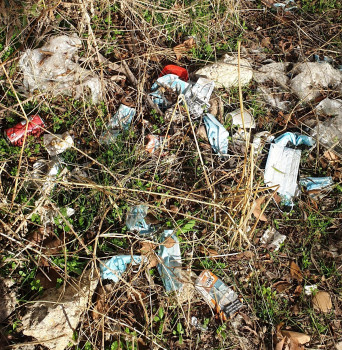 LOS VECINOS DENUNCIAN. Llamamiento al civismo