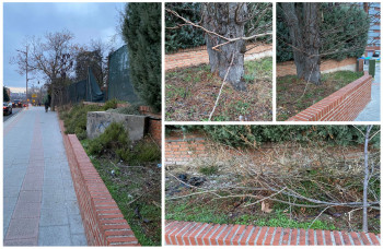 LOS VECINOS DENUNCIAN. Falta de mantenimiento en la calle Zaragoza