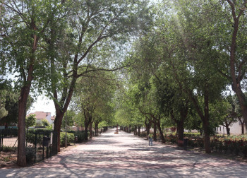 El Ayuntamiento de Cabanillas saca a licitación la reforma integral del Parque Buero Vallejo