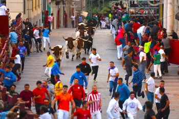 Objetivo del Ayuntamiento de Guadalajara para 2026: más para toros y menos para deporte, infancia y juventud