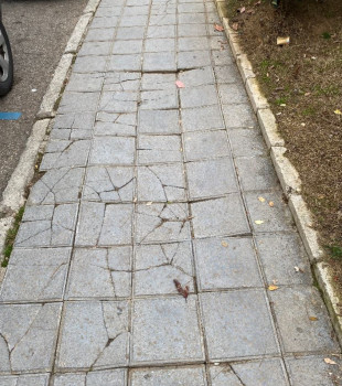 LOS VECINOS DENUNCIAN. Mal estado de las aceras