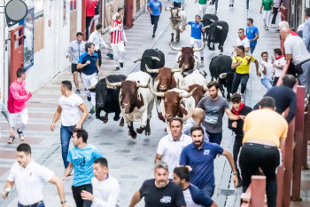 El Ayuntamiento apuesta por un encierro más para los festejos taurinos