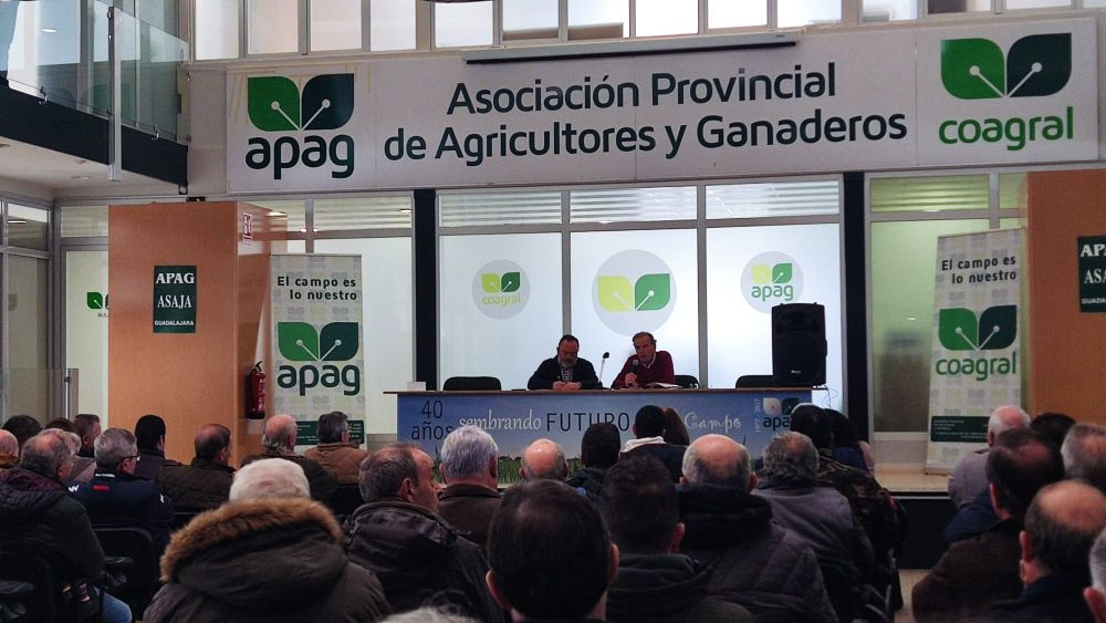 Imagen: El Decano de Guadalajara