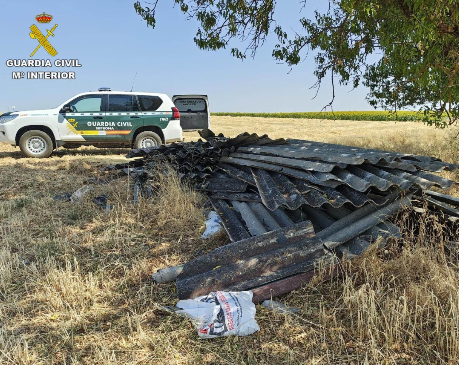 Imagen: Guardia Civil de Guadalajara 