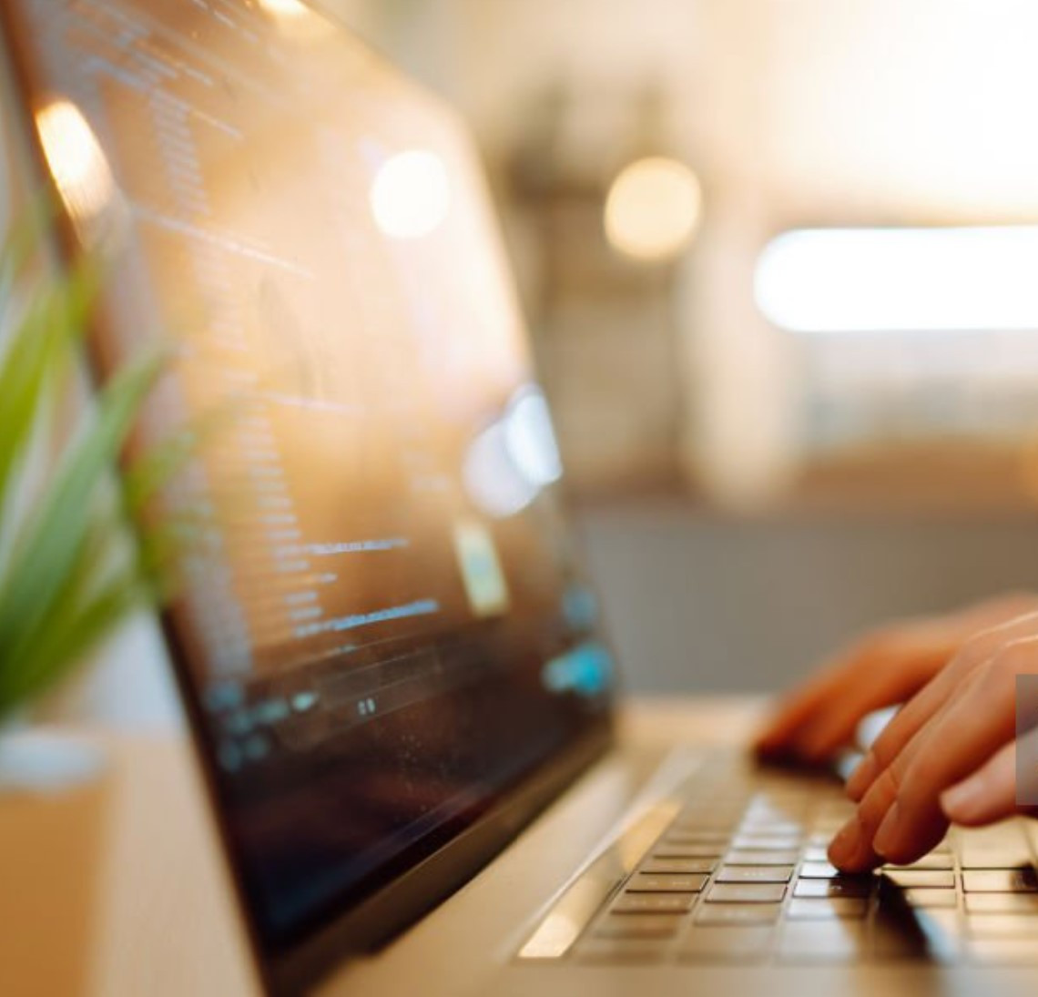 Imagen: https://www.istockphoto.com/