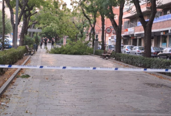 Activado el Platemun ante el aviso amarillo por nevadas y fuertes vientos 