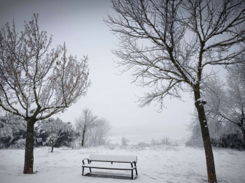 GALERÍA DE FOTOS: Así está siendo el paso de la borrasca 'Francis' por Guadalajara