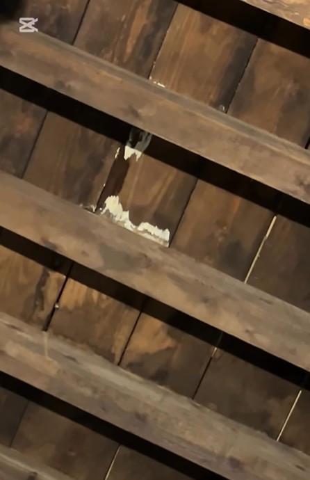 Imagen: PhotoAtanzón.