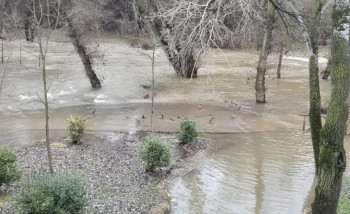 El Ayuntamiento afirma que está "en estado permanente de vigilancia y para actuar en cualquier momento si hiciese falta", ante la crecida del Henares
