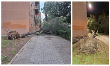 LOS VECINOS DENUNCIAN. Ineficacia total