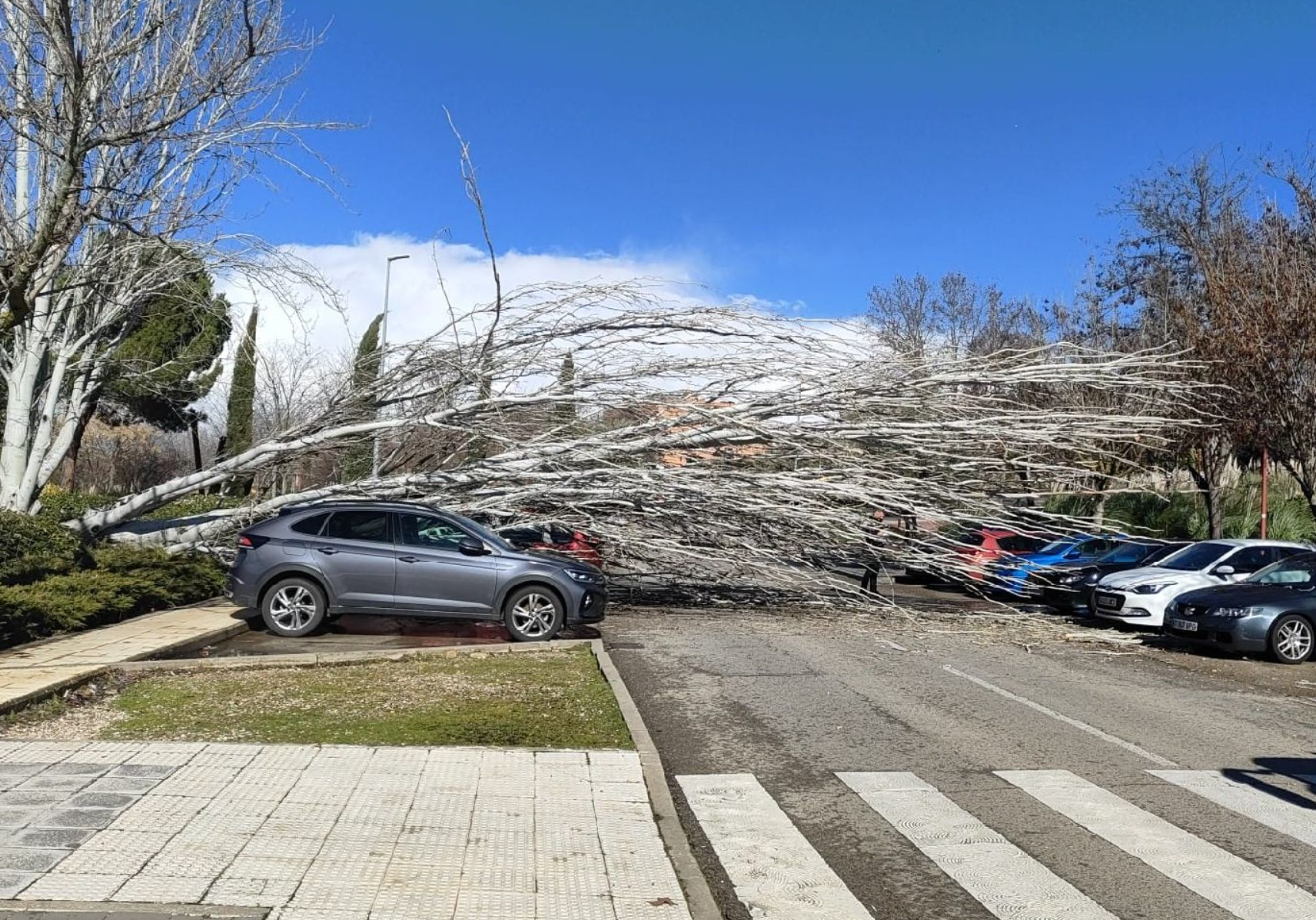 Imagen: Ayuntamiento Cabanillas del Campo